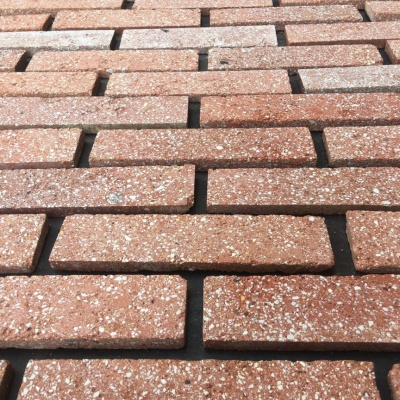 Gạch thẻ cổ (gạch cắt ) kt 230x65x13mm